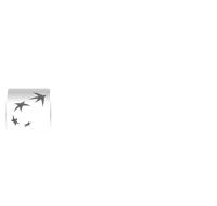 Client BNP Paribas