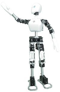 Hacklabot le robot humanode